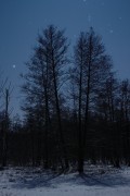 Winternacht im Lcknitztal