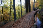 Grner Graben - Herbstspaziergang