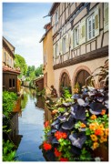 Wissembourg (Alsace)